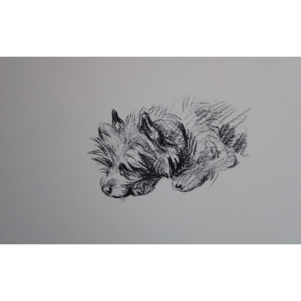 Lucy Dawson Dog Print Cairn Terrier St Bernard 90690